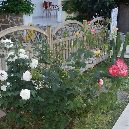 아파트호텔 Paleos